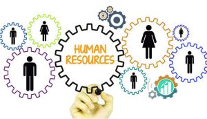 هوش تجاری و منابع انسانی